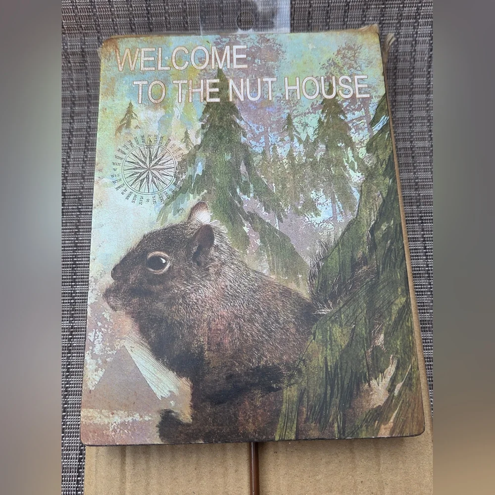 Squirrel 